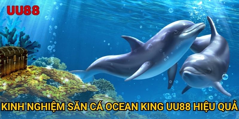 Kinh nghiệm săn cá Ocean King UU88 hiệu quả
