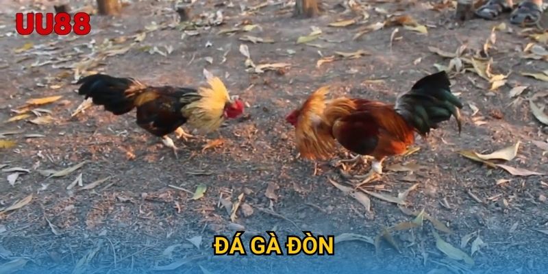 Đá Gà Đòn UU88 Mãn Nhãn Với Những Màn Tỉ Thí Đỉnh Cao