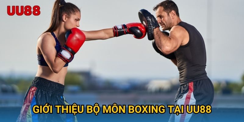 Giới thiệu bộ môn Boxing tại UU88
